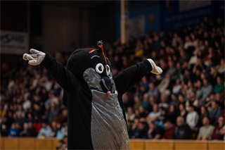 20. kolo Tipos SBL: BC Prievidza - Spišskí Rytieri 94:61 (Vladimír Králik)